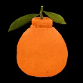Fresh Ripe Orange Colored Citrus Fruit With Green Leaves And Stem On Black Background