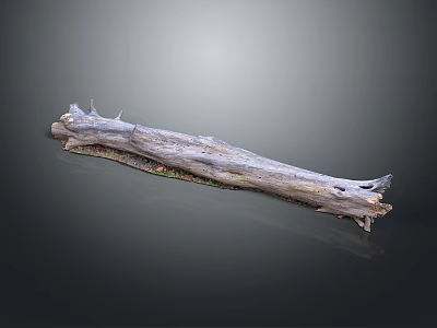 Small Green Plants Thriving On Weathered Wooden Log Surface Gray Background 3d model