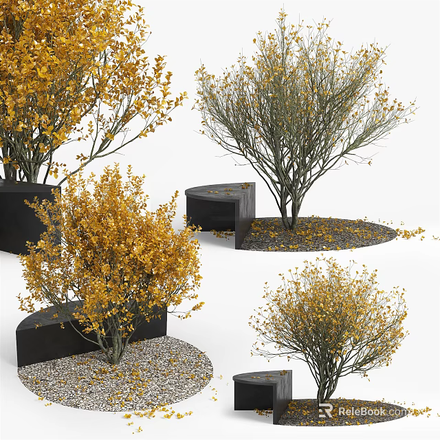 Stylish Black Tree Planters With Yellow Leaf Trees And Gravel Surroundings 3d model 