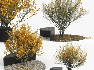 Stylish Black Tree Planters With Yellow Leaf Trees And Gravel Surroundings 3d model