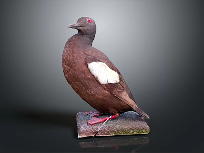 Brown Flying Bird With White Wing Feathers Red Eyes Standing On Stone Base 3d model