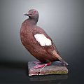 Brown Flying Bird With White Wing Feathers Red Eyes Standing On Stone Base