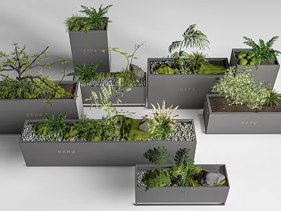 Various Green Plants Arranged In Grey Planters With PLANT Labels On Grey Background 3d model