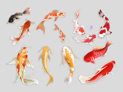 Colorful Koi Fish Animal Wall Decor With Vibrant Decorative Designs 3d model