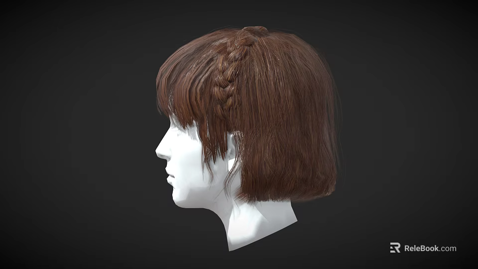 Brown Short Hair With Braid And Bangs On Head Model Side View 3d model 