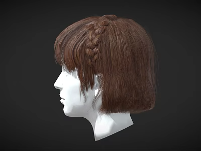 Brown Short Hair With Braid And Bangs On Head Model Side View 3d model