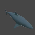 Game and Movie Character Shark 3D Model with Gray Blue Body Open Mouth and Fins