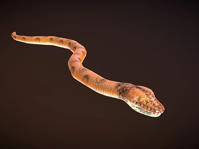 Brown Patterned Snake With Slithering Curved Body Against Dark Background 3d model