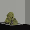 Bonsai Plant With Green Moss Covered Stones On Gray Square Indoor Base With Shadow