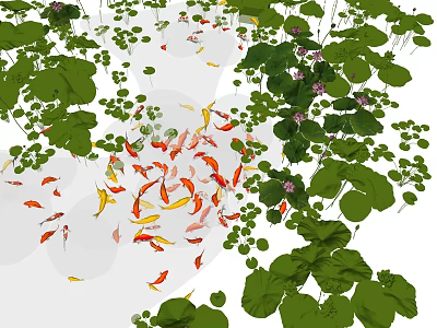 Lush Lotus Leaves With Purple Flowers And Colorful Koi Fish Swimming In Pond With Duckweed 3d model