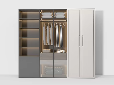 Modern Wardrobe Design With Gray And White Finish Hanging Rods Shelves Drawers And LED Lighting 3d model