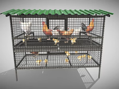 Multi Level Chicken Cage With Green Metal Roof And Various Chickens Chicks 3d model