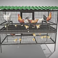 Multi Level Chicken Cage With Green Metal Roof And Various Chickens Chicks
