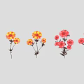 Colorful Yellow And Red Garden Flowers With Multiple Blooms On Slender Stems