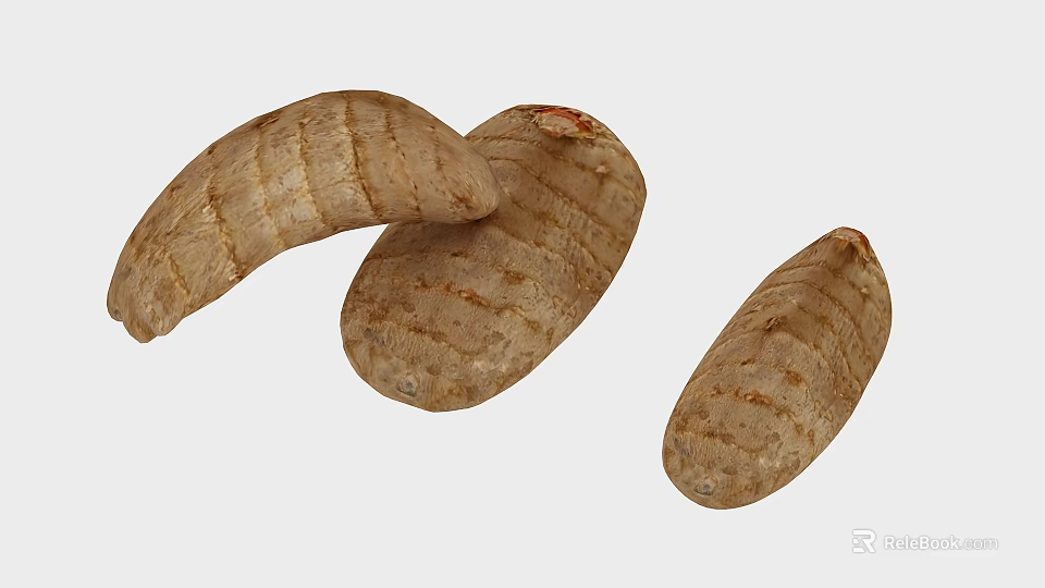 Fresh Root Vegetables With Striped Brown Skin And Natural Shape 3d model