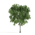 The Modern Tree 3d model