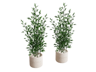 plant green plant flower potted tree 3d model