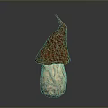 Fresh Edible Mushroom With Brown Textured Cap And Light Colored Stem