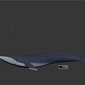 Realistic Blue Whale 3D Model with Smooth Body on Gray Background 3d model