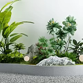 Courtyard Garden With Various Green Plants Large Leaves Decorative Stones Gravel Ground And Round Lights