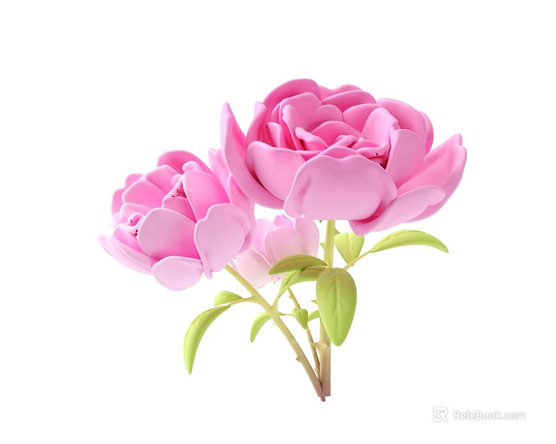 Beautiful Pink Peonies With Fresh Green Leaves And Stem on White Background 3d model 