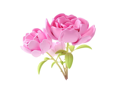 Beautiful Pink Peonies With Fresh Green Leaves And Stem on White Background 3d model