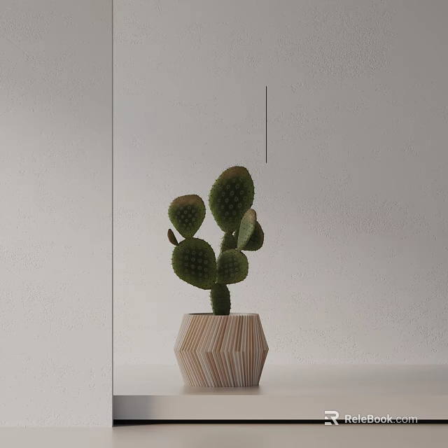 Green Potted Cactus Bonsai with Geometric Pattern Pot on Light Tabletop against White Wall 3d model 
