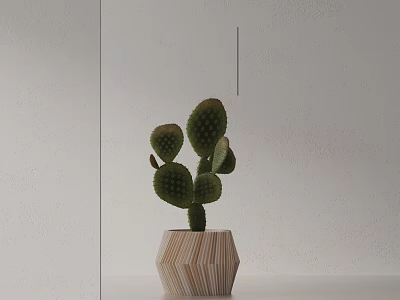 Green Potted Cactus Bonsai with Geometric Pattern Pot on Light Tabletop against White Wall 3d model
