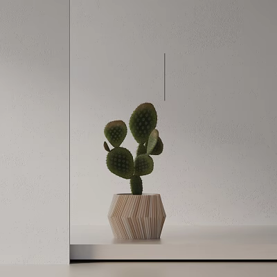 Green Potted Cactus Bonsai with Geometric Pattern Pot on Light Tabletop against White Wall 3d model