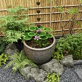 Japanese Garden Scene with Ceramic Pot Lily Pads Purple Flower Bamboo Fence and Stones