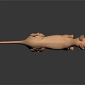 3D Rendering of Standing Hairless Cat With Light Orange Color and Gray Background