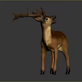 Brown Deer With Large Antlers Standing In Full Body Natural View