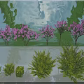 Ornamental Trees Featuring Purple Flower Clusters And Lush Green Foliage In Diverse Growth Forms
