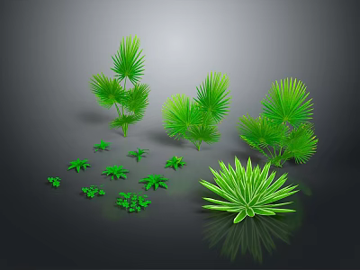 Green Tropical Plants With Various Leaf Shapes Sizes On Dark Background With Reflections 3d model