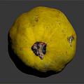 Whole Fresh Yellow Speckled Pumpkin Displayed on Black Surface With Reflection
