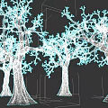 Tall Leafless Deciduous Trees With Thick Trunks And Branches On Dark Background