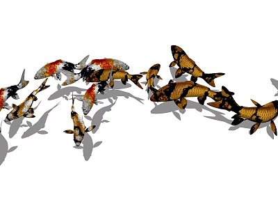 Colorful Koi Fish Swimming Together In A Group With Vibrant Patterns 3d model