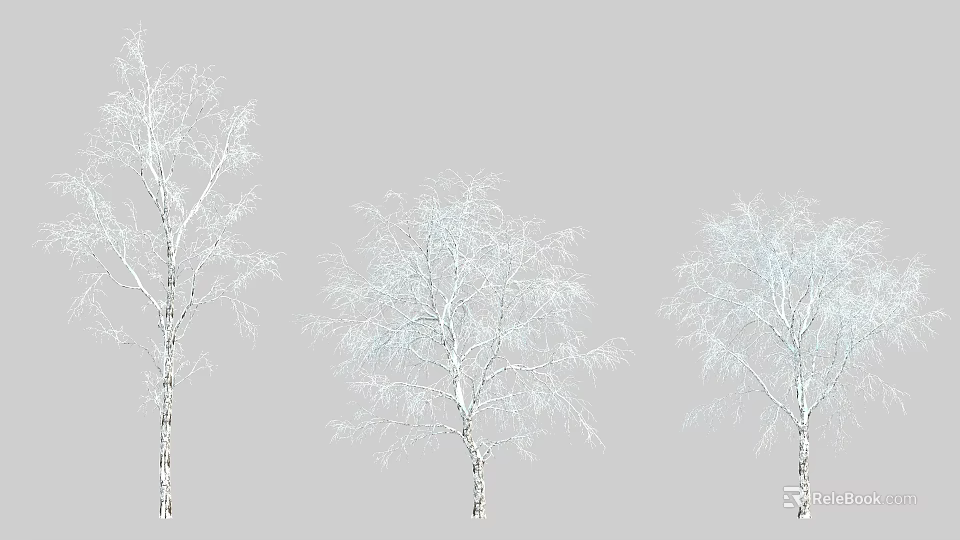 Three Snow Covered Birch Trees With White Branches On Gray Background 3d model 