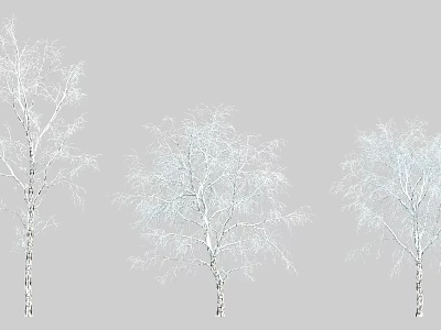 Three Snow Covered Birch Trees With White Branches On Gray Background 3d model