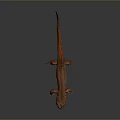 Realistic Brown Salamander With Long Tail Small Limbs And Detailed Texture On Gray Background 3d model