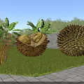 Rural Landscape with Split Durian Yellow Flesh Whole Durian Green Grass and Stone Wall