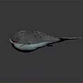 3D Model of Whale With Gray Body Black Spots Red Mouth and White Belly