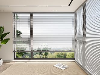 venetian blinds window curtains carpet books 3d model