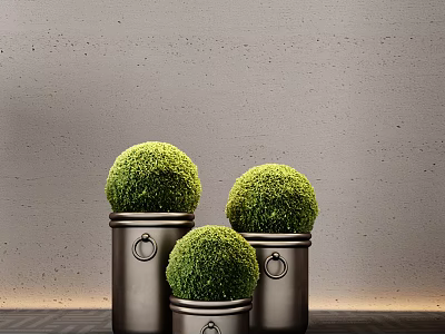 Bonsai Plants Round Green Topiary in Metal Planters with Grey Wall Background 3d model