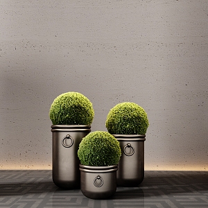 hotel moss ball potted plant green plant bonsai flower pot 3d model