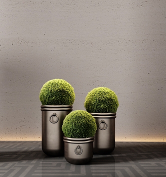 hotel moss ball potted plant green plant bonsai flower pot 3d model