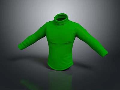 Green Turtleneck Long Sleeve Fitted Top with Soft Fabric for Casual Outfit 3d model