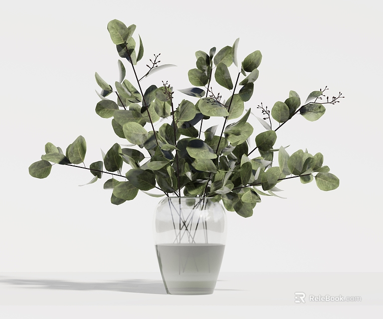 Fresh Green Eucalyptus Leaves in Clear Glass Vase on White Surface 3d model 