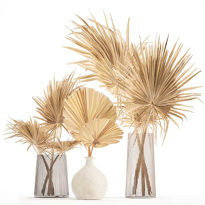 Dried Palm Leaves in White and Transparent Glass Vases Elegant Natural Decorative Arrangement for Home 3d model