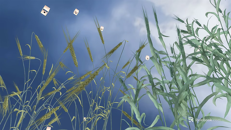 Green Grass and Wheat Ears Swaying Under Blue Sky With White Butterflies Flying 3d model 